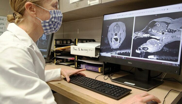 New Technologies Are discovered for cancer