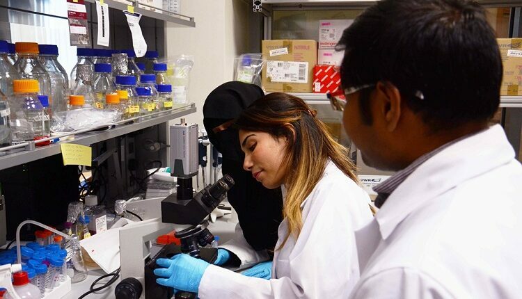 Cancer Drug Researcher