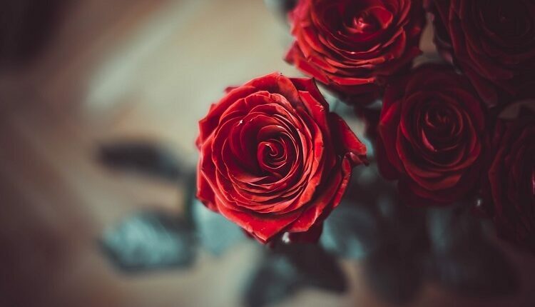 Mother’s Day Flower