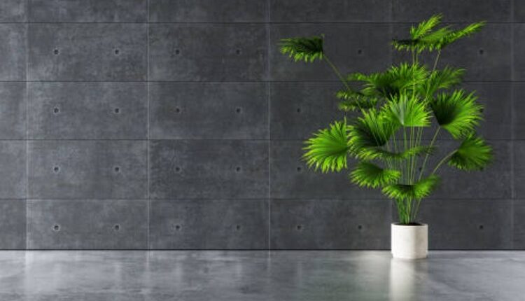 Large Planters